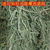 Canada Canada imported Timothy grass 1000g cut grass