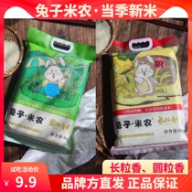 Rabbit Minong Rice Round Grain Fragrance Long Grain Fragrance When Season New Mi Jilin White City Edible White Rice Fresh Grain Full Bodied
