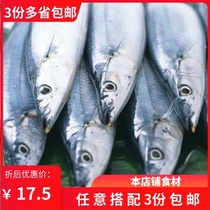 Saury fresh frozen saury Japanese fried barbecue saury 500g saury deep sea fish 3