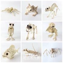 Halloween terrorist decoration scorpion spider skeleton 动物
