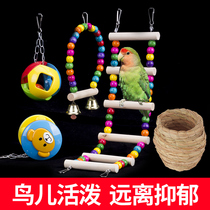 Parrot toy supplies bird with swing climbing ladder ring Xuanfeng tiger skin peony Starling bird cage ladder bite climbing
