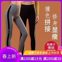 Japanese Pure Cotton Beating Underpants Womens Thin Suede Winter Outwear High Waist Collection Belly elastic conspicuge skinny skinny pair of pants