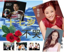 Disc player DVD (seventeen years old do not cry) Hao Lei Li Chen 10 episodes 2 discs