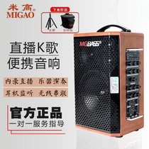 Michael sound A6 outdoor folk guitar singing live Sax accompaniment electric tube dedicated speaker