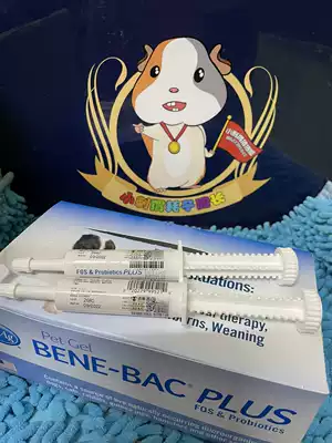 American BENE-BAC pet probiotics help you strong cat dog hamster ChinChin rabbit diarrhea constipation whole intestines ointment