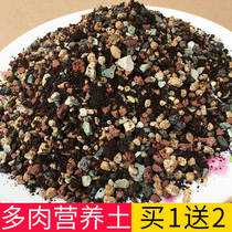 Multi-meat nutrient soil special granular soil economic meat meat plant planting soil soil soil special clearance