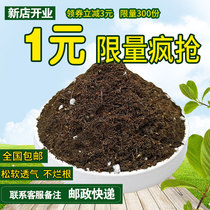 Nutritional soil universal flower soil planting vegetable planting flower soil fleshy Clivia green flower fertilizer potted soil