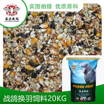 Battle Dove Dove Grain Swap for 40 catfish Pigeon Letter Pigeon Swap for Feather Oil River Oil Jiang Zhejiangs New Pine Hot Pin