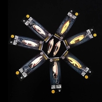 Sub-cool road subfake bait bright sheet leech holographic cicadas super double tunic turnips