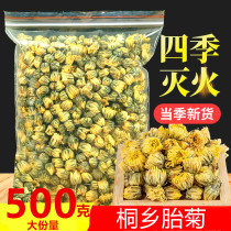 Authentic Zhejiang Tongxiang Tan Chrysanthemum King Super Wild Chrysanthemum Tea Clear Fire Bulk Hangdaisy 500g