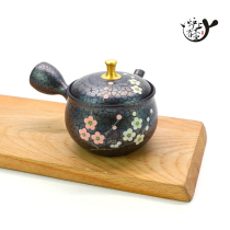 Japan imported often smooth burning Zhaolong Tianmu Mei Yuan Zhaoer red white plum side to the emergency teapot tea set kung fu teapot