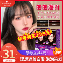 Schwacho dyed hair Moise Bubbledyed Hair Cream Hair yourself at home dyed hair cream 2021 mesh red black tea color