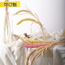 White yellow millet spike Nordic natural plant dried flower millet ear wheat ear wheat sorghum opening decoration