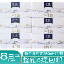 Mengniu terun pure milk 250ml * 12 boxes * 6 drinks yogurt student milk breakfast