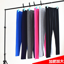 Modale summer thin outside wearing gats up and down to beat bottom pants woman fat mm200 catty high waist display slim 90% pants