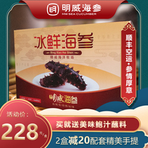 Mingwei heating instant sea cucumber gift box wild fresh sea cucumber instant food single pack Liaohai seepage sea cucumber 500g