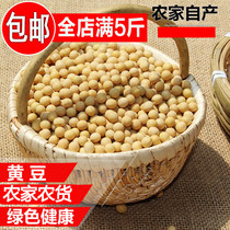 Soybean mountain farmers grow their own grains Stupid soy bean sprouts beat soy milk porridge farmers ordinary beans 250g