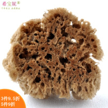 Natural old seaweed cotton deep sea solid grass sponge decorative painting art paint diatom mud tool non-bath brush