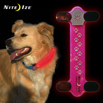 American Nite ize charm luminous sign with signal light warning luminous belt Pet dog belt