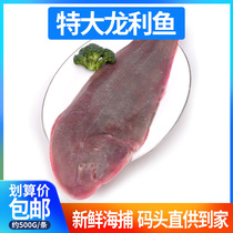 Zhoushan fresh big dragon tongue fish about 500g fresh seafood aquatic products scooter fish Dragon Ligui fish tongue fish non-salmon