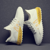 Small White Shoes Male Korean Version Trend 100 Hitch Casual Board Shoes Man 2019 Summer New Flying Loom Net Face Breathable Sneakers