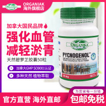 Canada imported pine bark essence Pycnogenol 95%anthocyanin OPC anti-aging