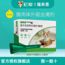 E pet French imported Fleien cat in vitro anthelmintics cat special pet to flea tick 1