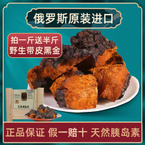 Birch brown hole bacteria Birch velvet Russia imported flagship store wild one pound of black gold particles concentrated gift box