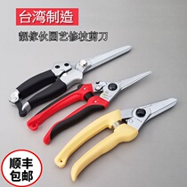 Taiwan original straight-cut fine branch shears bonsai pointed fruit-thinning imported scissors plus long-edged pruning shears shunfeng