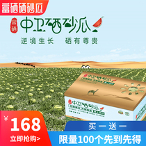 Ningxia Zhongwei pressed sand melon Selenium-rich selenium sand melon origin sand sweet stone seam watermelon fresh fruit 20 kg gift box