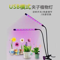 Vegetable multi-meat light household Sun USB laboratory micro-landscape light balcony red and blue white cucumber flowers