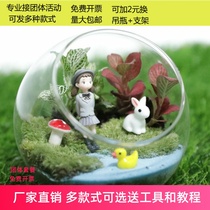 Moss micro landscape ecological bottle plant fleshy potted plant DIY material package Desktop glass small ornament combination
