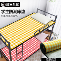 Student dormitory Single moisture-proof mat Bedroom mattress Aluminum film Tatami mat cool-proof upper and lower bunk mat