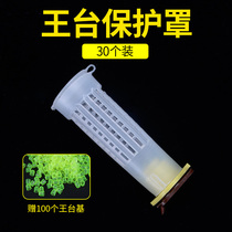 Wangtai protective cover nursery king cover with Cup multifunctional King Cage Prisoner King cage anti-bite protective cover 30 sets