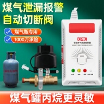 Gas Alarm Automatic Cut Off Valve Hotel Natural Gas Bottled Liquefied Gas Propane Gas Gas Tank Leak Blocking Valve