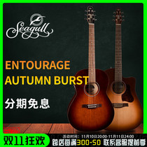 Initialized instrument Seagull Entourage Rustic QIT Aboriginal folk electric box wood guitar