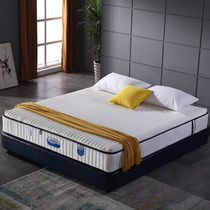 Latex Mattress Spine Mats Dreamlike and soft dual-use 1 5 m 1 8m Home independent spring Coconut Palm Cushion Customised