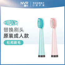nvr rechargeable sonic electric toothbrush replacement head (L001 model) 1 pack