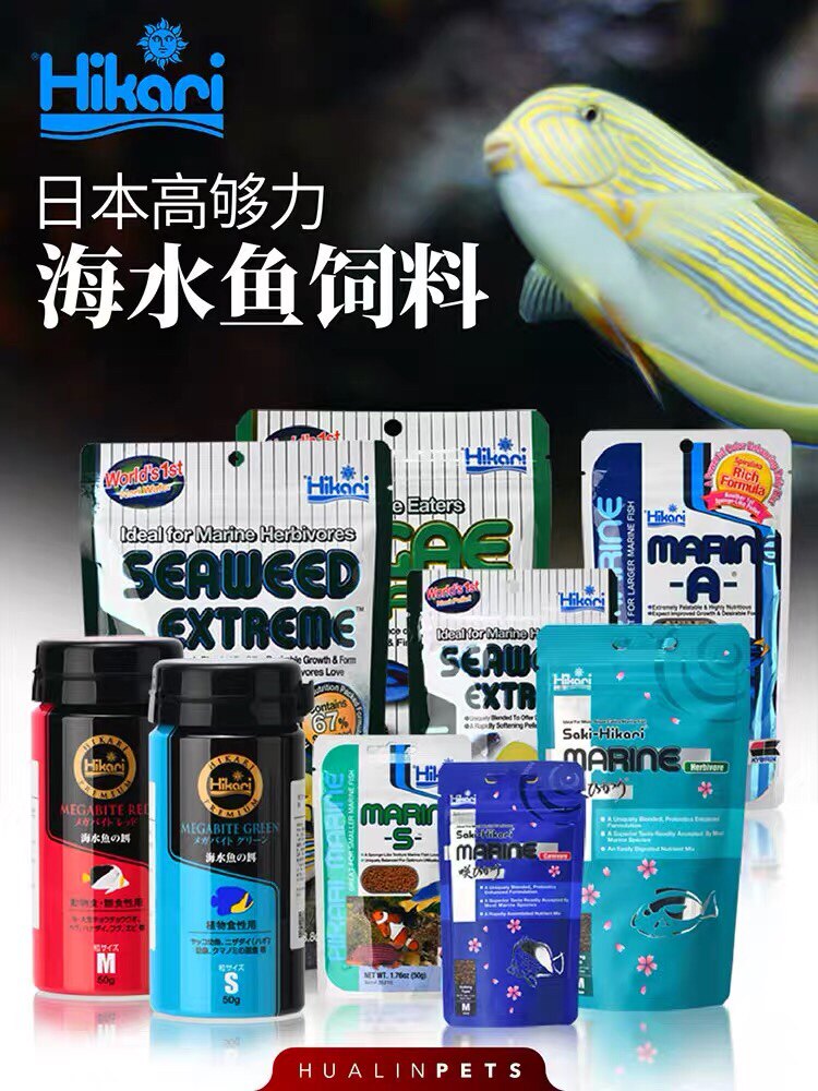 Japan's original high enough seawater fish feed containing gut probiotic vegetarian food soothing sponge grain fish grain