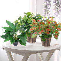 Simulation plant potted indoor decoration desktop flower green bonsai all season flowering living-room fake flowers and real flowers on the ground floor