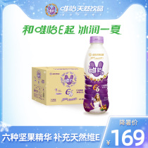 Wei Yi E6 nut drink 960mlx12 bottles vegetable protein drink banquet party large bottle beverage whole box