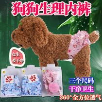 Love Bao Cute Pets Physiology Pants Dogs Physio Pants Braces Teddy Dogs Physiology Pants Dog Menstrual Pants