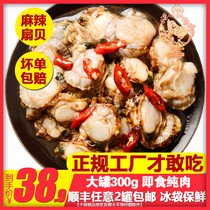 Ready-to-eat spicy seafood scallops aquatic cooked food canned scallop meat snacks Snacks Yaozhu seafood specialty cooked food