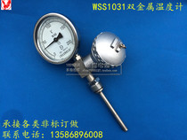 Bimetallic PT100 Thermometer Remote Thermometer WTYY-1021 WSS1031