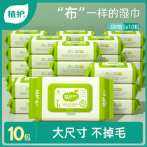 Plant protection baby wipes Large packaging wet wipes with cover Special price for newborns babies infants hands and mouth fart