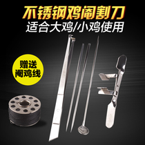 Little Rooster castration New castration stainless steel animal husbandry full set of big chicken Rooster line cutting scalpel tool