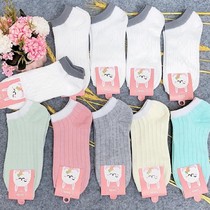 Xunshi Xuer strict selection of small fairy new socks Joker short socks ultra-thin size anti-hook silk sweet anti-mosquito