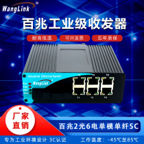 Net (wanglink) 100 trillion Industrial-grade fiber transceiver single-mode single fiber 2 light 6 Electric SC photoelectric converter DIN rail-type switch