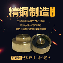 Suitable for Wanhe electric water heater DSCF40 E60 special nut sewage outlet 8-point nut magnesium rod matching