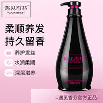 Hong Kong Meet Fragrance Conditioner Repair perm Damage Anti-dry frizz Supple care Hydration